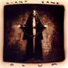 Giant Sand - Glum (1994)