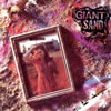 Giant Sand - The Love Songs (1988)