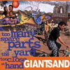 Giant Sand - Too Many Spare Parts in The Yard: Official Bootleg (2002)
