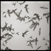 Howe Gelb - Sno Angels & Melted Wires (2011)