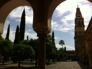 photo-17