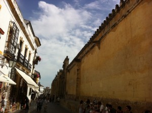photo-19